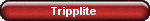 Rechargeable Batteries for Tripplite UPS Systems